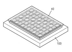 APPARATUS AND METHOD FOR ABLATING SUBSTRATE AND METHOD OF FABRICATING DISPLAY APPARATUS