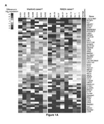 Prediction of Clinical Outcome in Hematological Malignancies Using a Self-Renewal Expression Signature