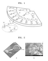 Method of forming filter in fluid flow path in microfluidic device