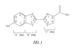 LUMINOGENIC AND FLUOROGENIC COMPOUNDS AND METHODS TO DETECT MOLECULES OR CONDITIONS