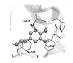 HYDROXYTYROSOL AND OLEUROPEIN COMPOSITIONS FOR INDUCTION OF DNA DAMAGE, CELL DEATH AND LSD1 INHIBITION