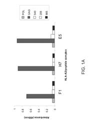 Anti human immunodeficiency antibodies and uses thereof