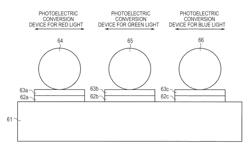 Protein photoelectric conversion device, photoelectric conversion system, protein photoelectric conversion device manufacturing method, photoelectric conversion system manufacturing method and protein-immobilized electrode