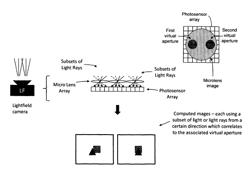 3D light field cameras, images and files, and methods of using, operating, processing and viewing same