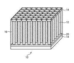 Sheet structure and method of manufacturing sheet structure