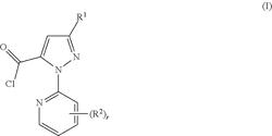 Process for preparing N-substituted 1H-pyrazole-5-carbonylchloride compounds