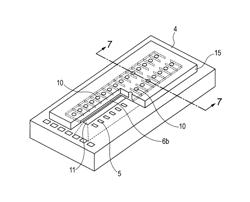 Process for forming a hydrophilic coating and hydrophilic coating, and process for forming an ink jet recording head and ink jet recording head