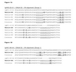 BISPECIFIC ANTIBODIES AGAINST HER2 AND CD3