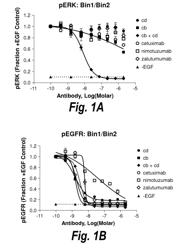 MONOCLONAL AND OLIGOCLONAL ANTI-EGFR ANTIBODIES FOR USE IN THE TREATMENT OF TUMORS EXPRESSING PREDOMINANTLY HIGH AFFINITY EGFR LIGANDS OR TUMORS EXPRESSING PREDOMINANTLY LOW AFFINITY EGFR LIGANDS