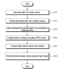 MICROSCOPE APPARATUS FOR DETECTING OR IMAGING PROTEIN USING PROBE FOR INTRINSIC FLUORESCENCE RESONANCE ENERGY TRANSFER AND METHOD FOR DETECTING OR IMAGING PROTEIN USING THE SAME