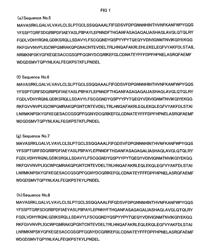 Protein exhibiting activity of pyrethrin biosynthetic enzyme, gene encoding the protein, and vector bearing the gene