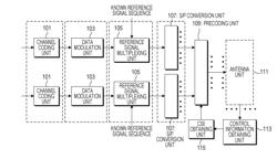 PRECODING APPARATUS, PROGRAM FOR PRECODING, AND INTEGRATED CIRCUIT