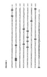 PH20 Polypeptide Variants, Formulations And Uses Thereof