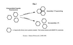 HEPATITIS B ANTIVIRAL AGENTS