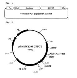 Copolymer containing 3-hydroxyalkanoate unit and lactate unit, and its manufacturing method