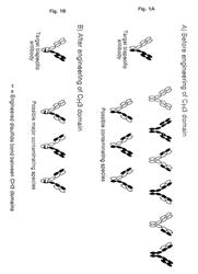 Method for making multispecific antibodies having heteromultimeric and common components