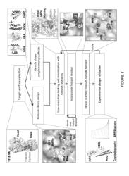 Polypeptides for treating and/or limiting influenza infection