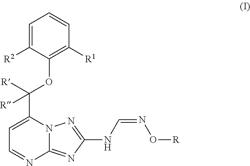 Substituted [1,2,4]triazolo[1,5-a]pyrimidines and their use as potassium channel modulators