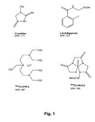 Modified Pyrazine Derivatives and Uses Thereof