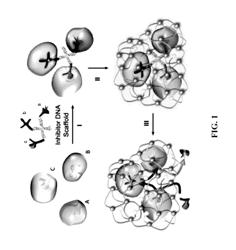 ORAL DELIVERY OF ENZYMES BY NANOCAPSULES FOR TARGETED METABOLISM OF ALCOHOL OR TOXIC METABOLITES