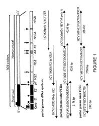 NEAR FULL-GENOME ASSAY OF HCV DRUG RESISTANCE