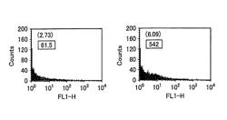 Method and kit for expressing protein under regulation of the expression from repeated sequence formed by gene amplification, and transformant