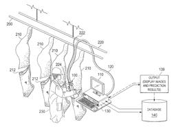 System and method for analyzing properties of meat using multispectral imaging