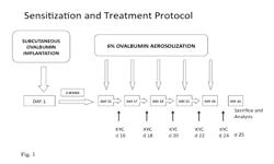 Peptide-Based Peroxidase Inhibitors and Methods of Using Same