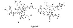 Polyprenylated Benzoylphloroglucinols With Anticancer Activity