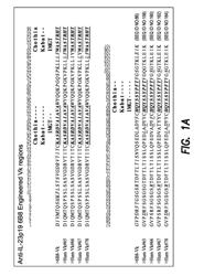 Anti-IL-23 antibodies