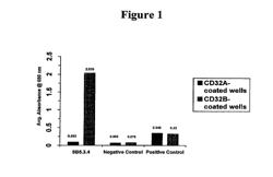 FcγRIIB—specific antibodies and methods of use thereof