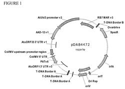 AAD-12 event 1606 and related transgenic soybean lines