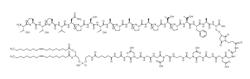 FC-FUNCTION ASSAY