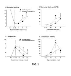 2-(Substituted ethynyl)quinoline Derivatives as mGLUr5 Antagonists