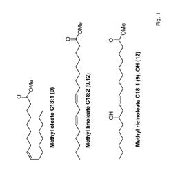 PROCESS FOR THE ISOMERISATION OF SUBSTITUTED ALKENES