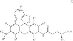 METHOD FOR DIAGNOSING CANCER