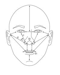 Monitoring respiration with a thermal imaging system