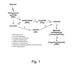 Dehydrogenase Variants and Polynucleotides Encoding Same