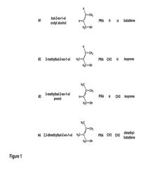 PRODUCTION OF VOLATILE DIENES BY ENZYMATIC DEHYDRATION OF LIGHT ALKENOLS