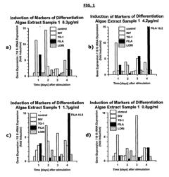 Pharmaceutical and cosmetic use of extracts from algae obtainable from saline hot water sources