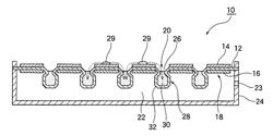 Fuel cell module with a water reservoir including a water storing portion expanding from a cell unit to an anode side