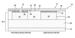 Photonics device and CMOS device having a common gate