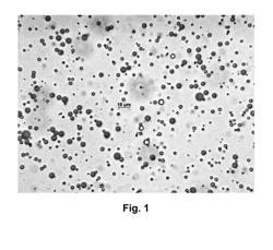 HERBICIDAL COMPOSITION COMPRISING POLYMERIC MICROPARTICLES CONTAINING A HERBICIDE