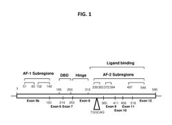 NOVEL ESTROGEN RECEPTOR MUTATIONS AND USES THEREOF