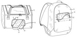 Luggage with a crush proof compartment