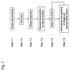 Methods for quantitative cDNA analysis in single-cell