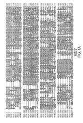 Methods of detecting umami tastant-sensitive cells which express heteromeric T1R1/T1R3 receptors