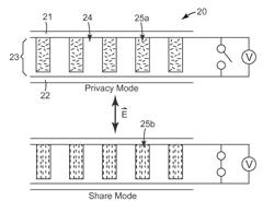 ELECTRONICALLY SWITCHABLE PRIVACY FILM AND DISPLAY DEVICE HAVING SAME