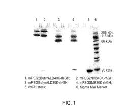 Pharmaceutical Compositions of Conjugates Formed From Polymer Derivatives Having Particular Atom Arrangements