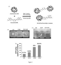 Curcumin formulations and methods for making such formulations